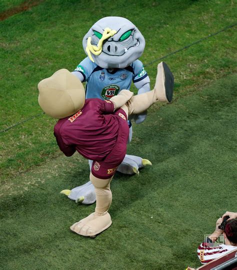 How Mascots Represent New South Wales Identity